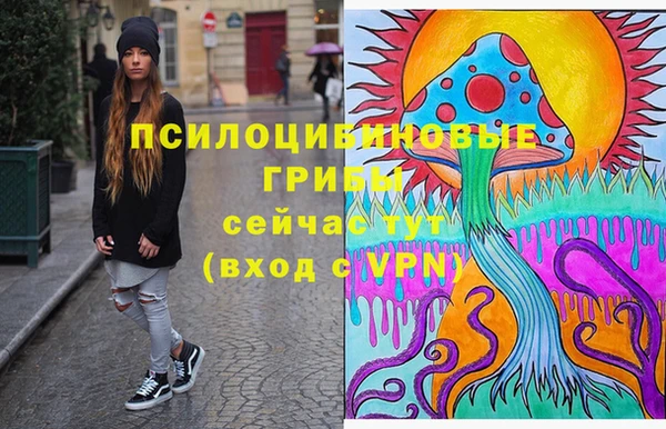 МДПВ Верея